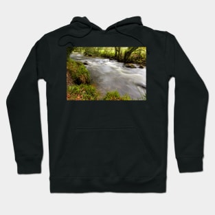 Golitha Falls Cornwall Hoodie